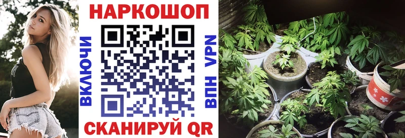 Купить наркоту Мариинск гидра   Псилоцибиновые грибы  Меф мяу мяу  Каннабис  ГАШИШ 