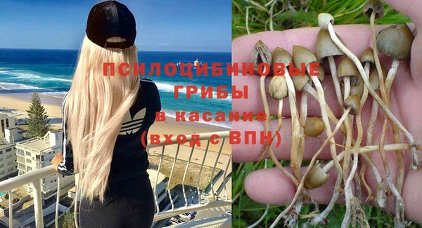 молекула духа Гусиноозёрск
