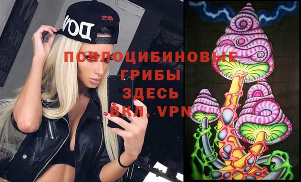 гидра Гусев