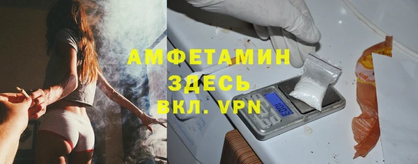СК Дмитров