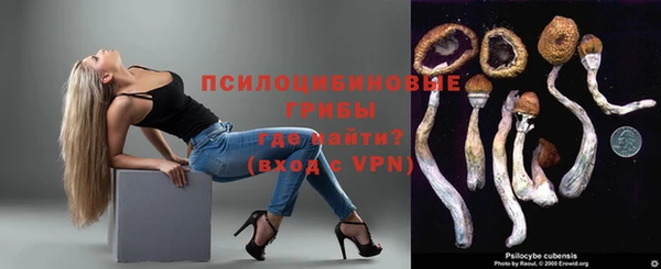 индика Дмитриев