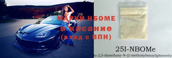 индика Дмитриев