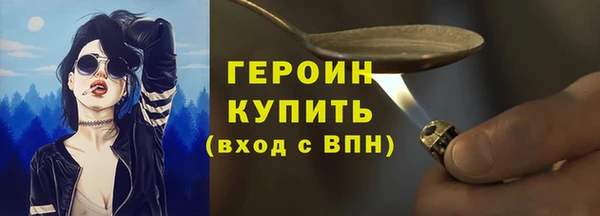 индика Дмитриев