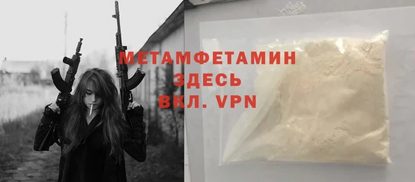 индика Дмитриев