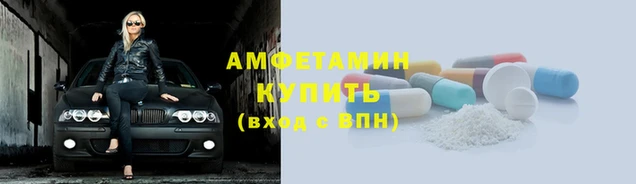 индика Дмитриев