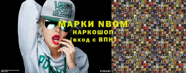 индика Дмитриев