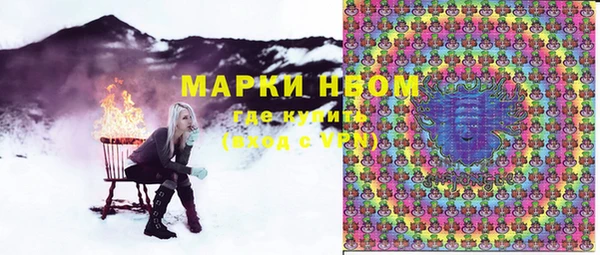 СК Дмитров