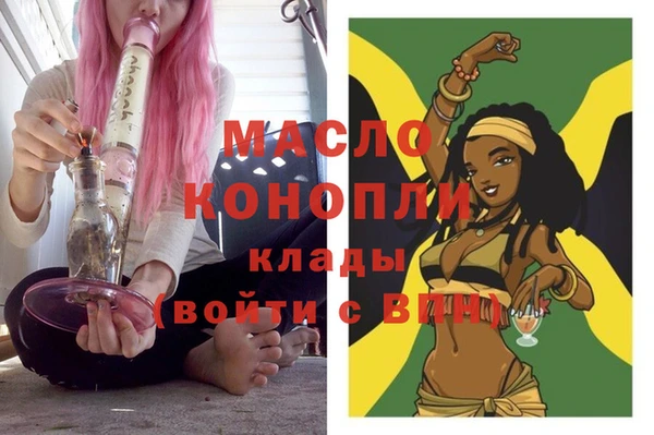 индика Дмитриев