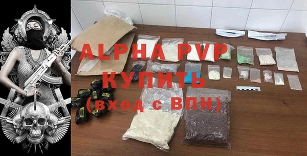 индика Дмитриев