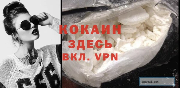 индика Дмитриев