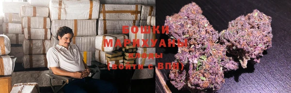 индика Дмитриев