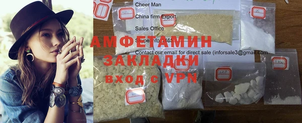 индика Дмитриев