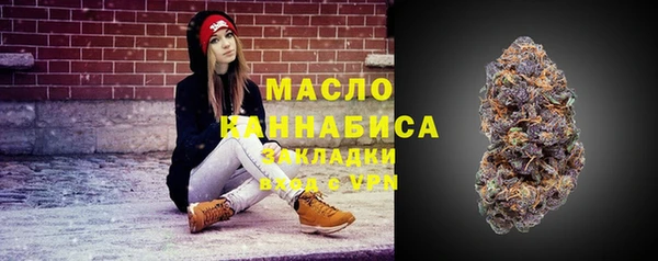 СК Дмитров