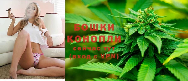 индика Дмитриев