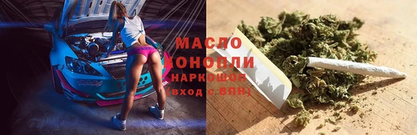СК Дмитров