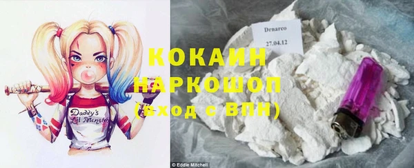 индика Дмитриев