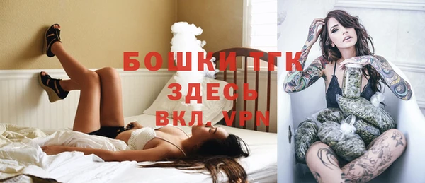 индика Дмитриев