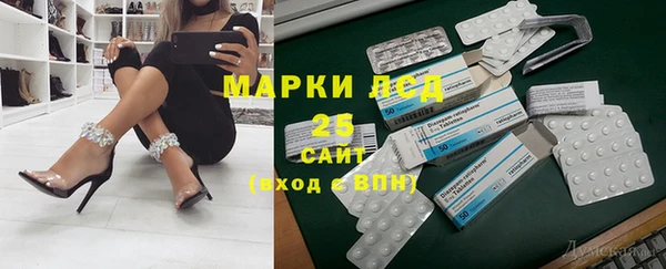 индика Дмитриев